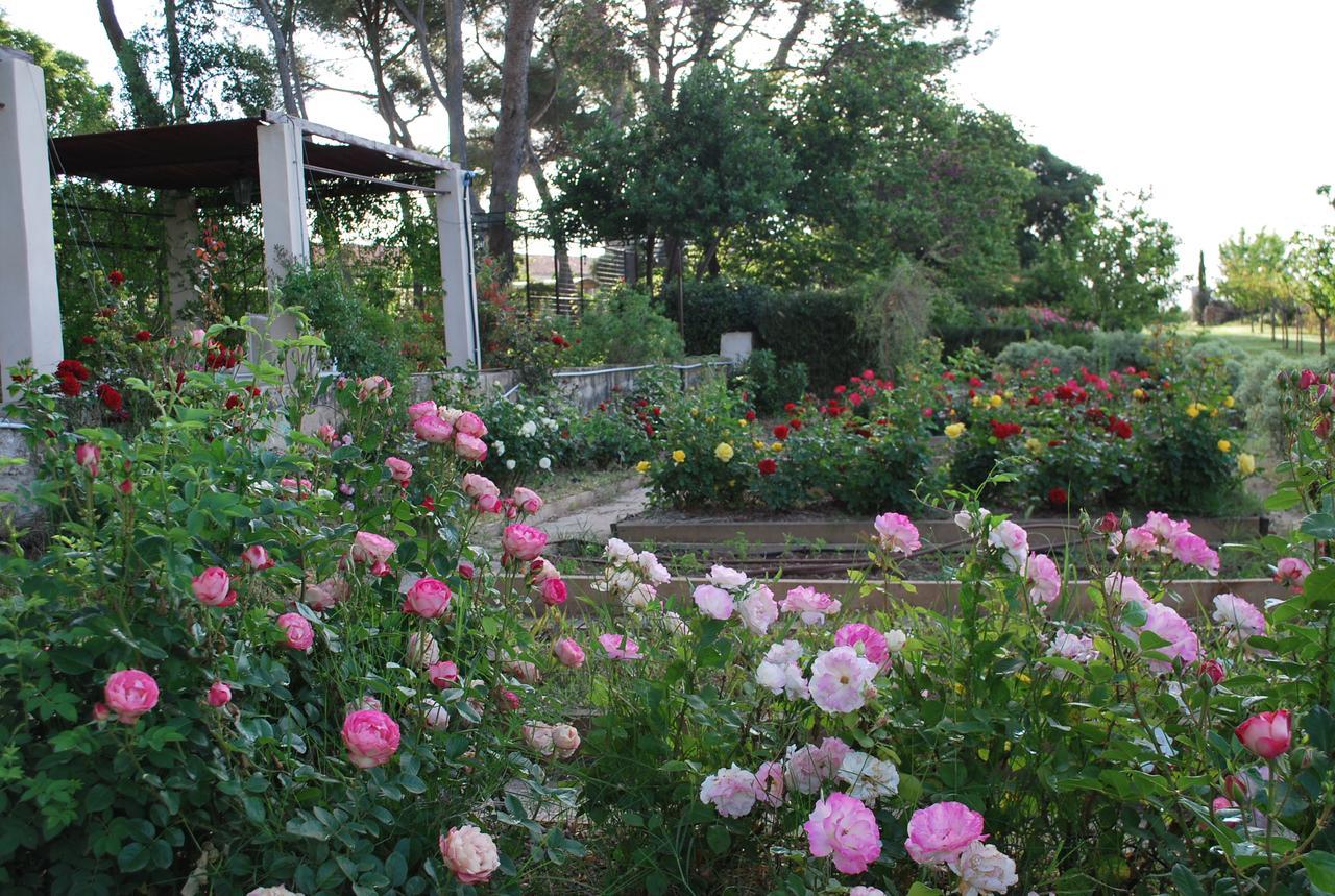 Chateau Sainte Colombe Bed & Breakfast Eksteriør bilde